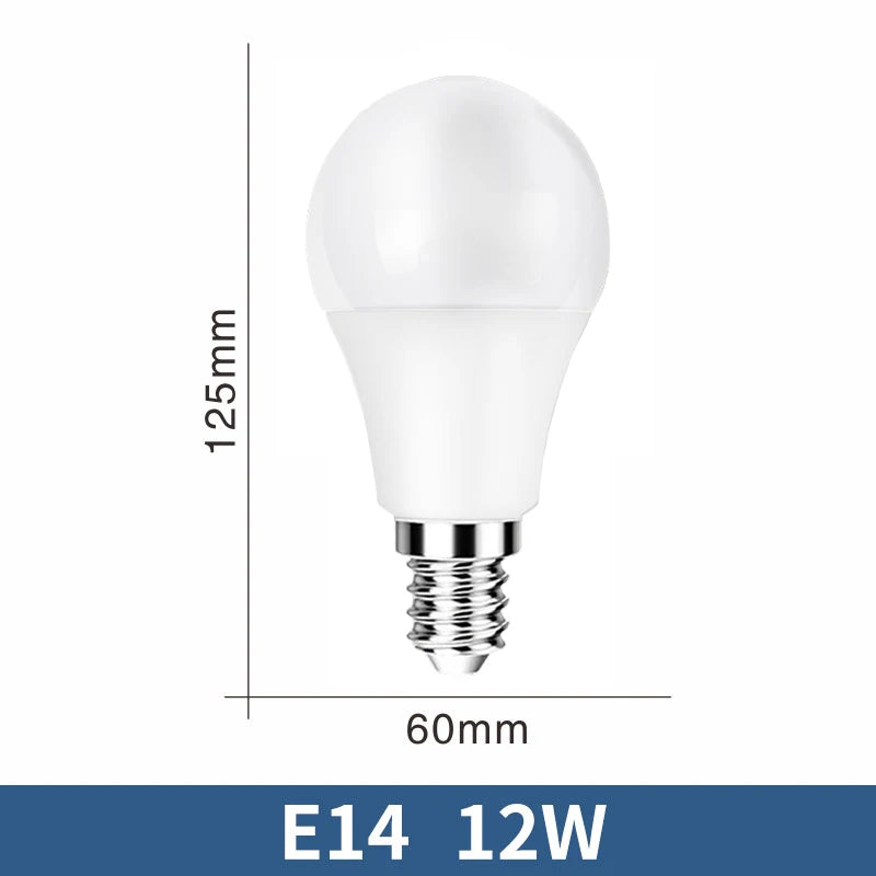 E14 E26 E27 LED Globe Bulb 3W-20W 100lm/W SMD2835 AC 110V 100-130V Warm Cool White 10-Pack