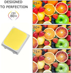 SMD2835 LED Chip 0.5W 1W 100-130lm 120° 3V-54V 50-100 Pack Warm Neutral Cool White