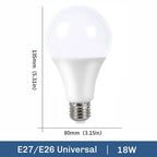 E14 E26 E27 LED Globe Bulb 3W-20W 100lm/W SMD2835 AC 110V 100-130V Warm Cool White 10-Pack
