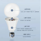 E14 E26 E27 LED Globe Bulb 3W-20W 100lm/W SMD2835 AC 110V 100-130V Warm Cool White 10-Pack
