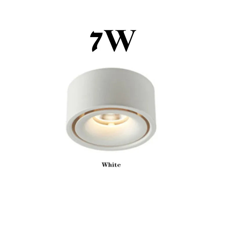 Foldable 360° Rotatable Dimmable COB LED Surface Downlight 7W-16W Double-Head to 32W Black