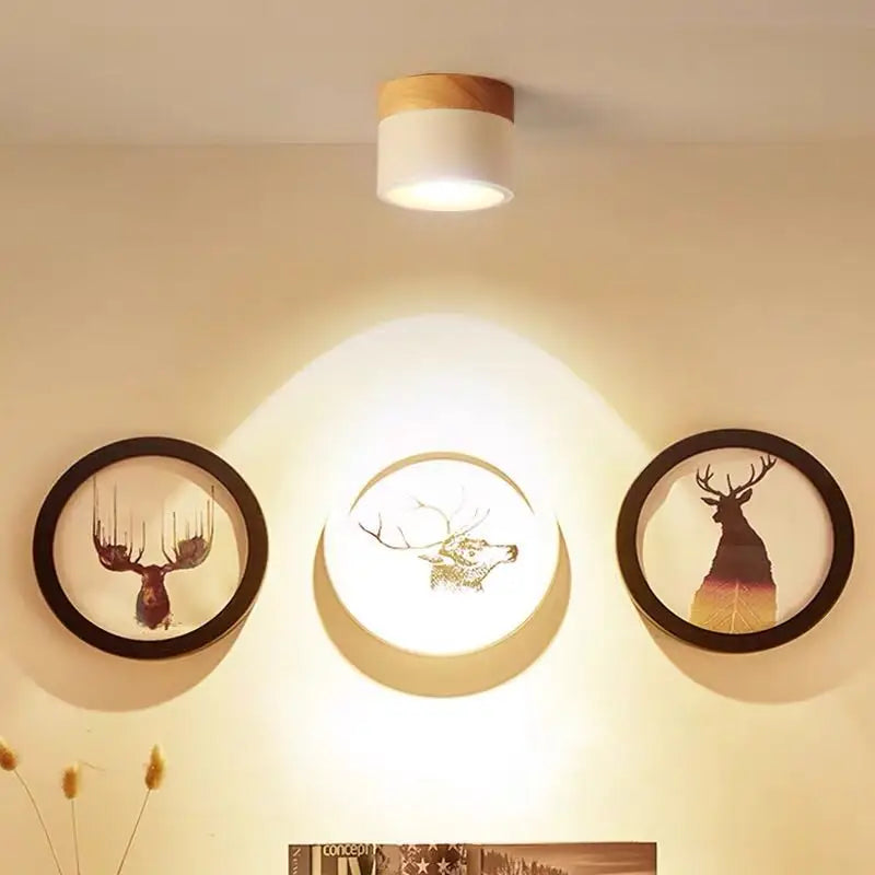 Dimmable Surface Mounted LED Ceiling Downlight 5W 7W 9W 12W 15W No Cutout 110-220V