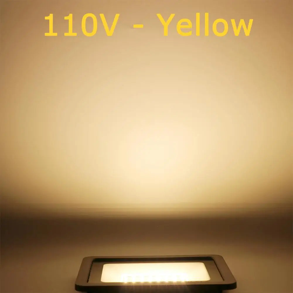 Ultra-Thin IP66 LED Flood Light 10W-100W SMD2835 CRI 80 120° AC 90-140V or 180-265V Aluminum