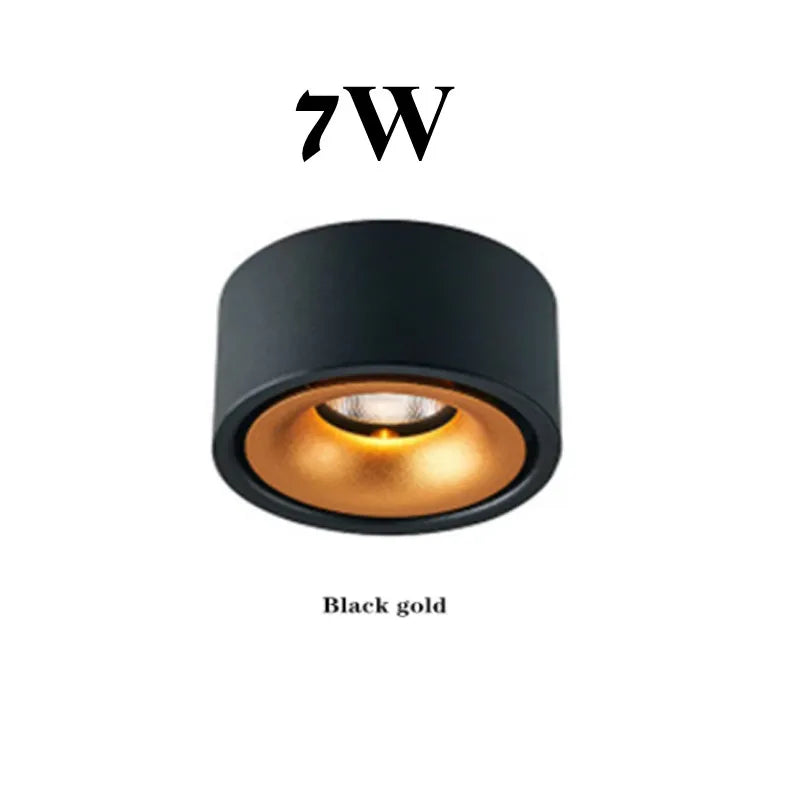 Foldable 360° Rotatable Dimmable COB LED Surface Downlight 7W-16W Double-Head to 32W Black