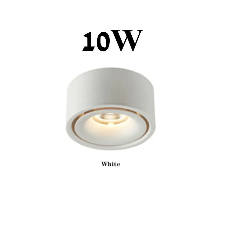 Foldable 360° Rotatable Dimmable COB LED Surface Downlight 7W-16W Double-Head to 32W Black