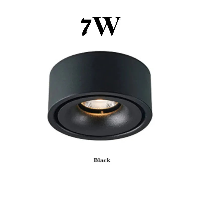 Foldable 360° Rotatable Dimmable COB LED Surface Downlight 7W-16W Double-Head to 32W Black