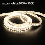 IP67 LED Strip Light 120 LEDs/m SMD2835 9-13W/m CRI 80+ DC 12V 24V 3-Color Waterproof