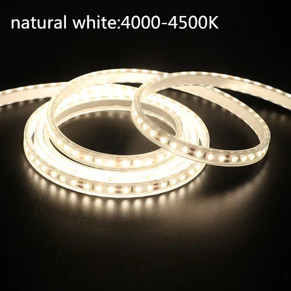 IP67 LED Strip Light 120 LEDs/m SMD2835 9-13W/m CRI 80+ DC 12V 24V 3-Color Waterproof
