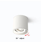 Dimmable LED Surface Mounted Downlight 6W 10W 12W 15W 18W 22W Die Cast Aluminum SMD 5730 CRI 85 60 Degree Knob Switch AC 85-265V