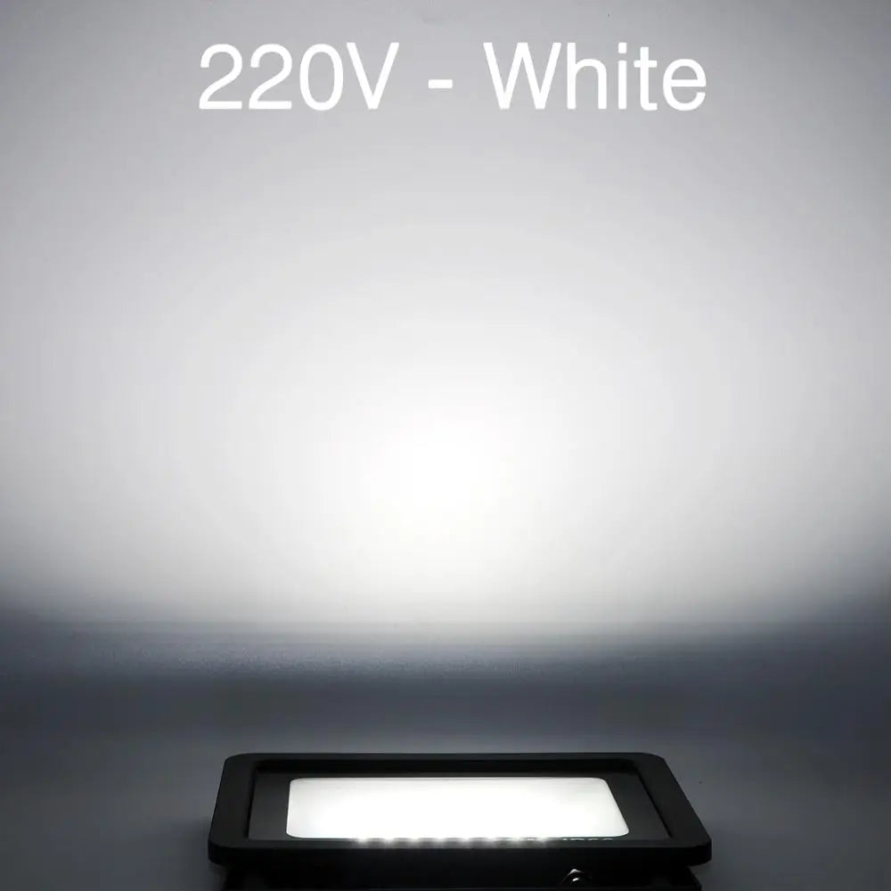 Ultra-Thin IP66 LED Flood Light 10W-100W SMD2835 CRI 80 120° AC 90-140V or 180-265V Aluminum