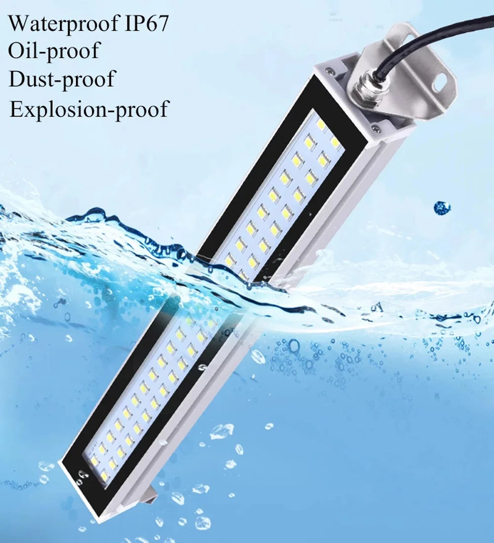 LED Flood Light IP67 Black Shell AC 110-220V DC 24-36V Outdoor Wall Garden Spotlight