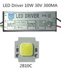 COB High-Power LED Chip + Driver Kit 10W 20W 30W 50W 100-130lm/W AC 85-265V Floodlight