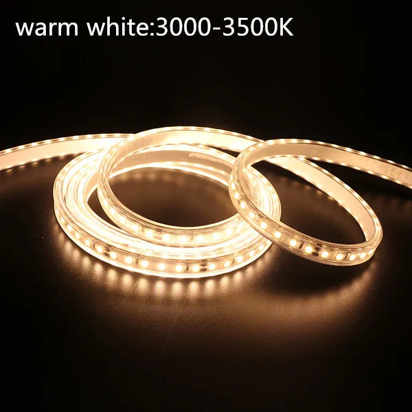 IP67 LED Strip Light 120 LEDs/m SMD2835 9-13W/m CRI 80+ DC 12V 24V 3-Color Waterproof