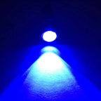 18mm 23mm Eagle Eye LED DRL 3W COB 7000K DC 12V White Red Amber Waterproof 2-10 Pack