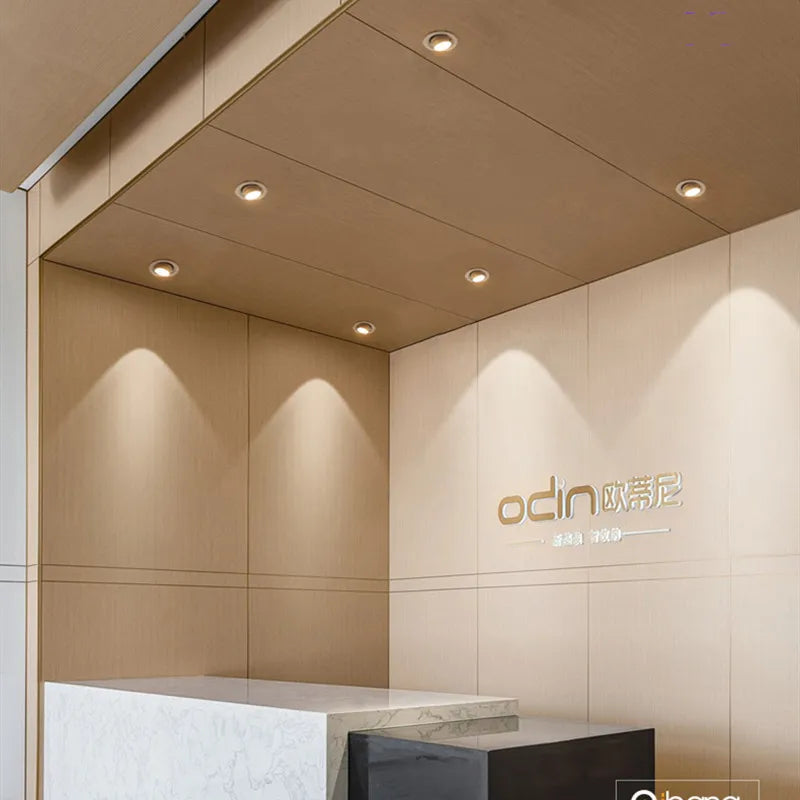 Adjustable Beam COB LED Recessed Downlight Spotlight