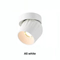Dimmable COB LED Surface Mounted Downlight 7W 12W 15W Frosted Aluminum CRI 90 25 to 45 Degree Adjustable AC 85-265V Black Kitchen Bedroom