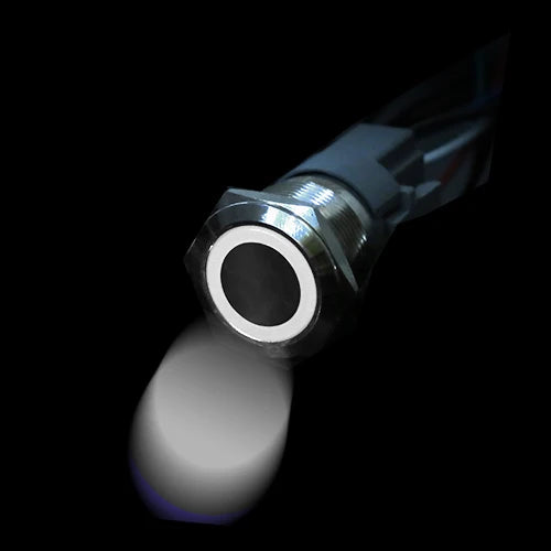 IP65 LED Stainless Steel Push Button Switch 12mm 16mm 19mm 22mm 3A Momentary Latching 3-220V