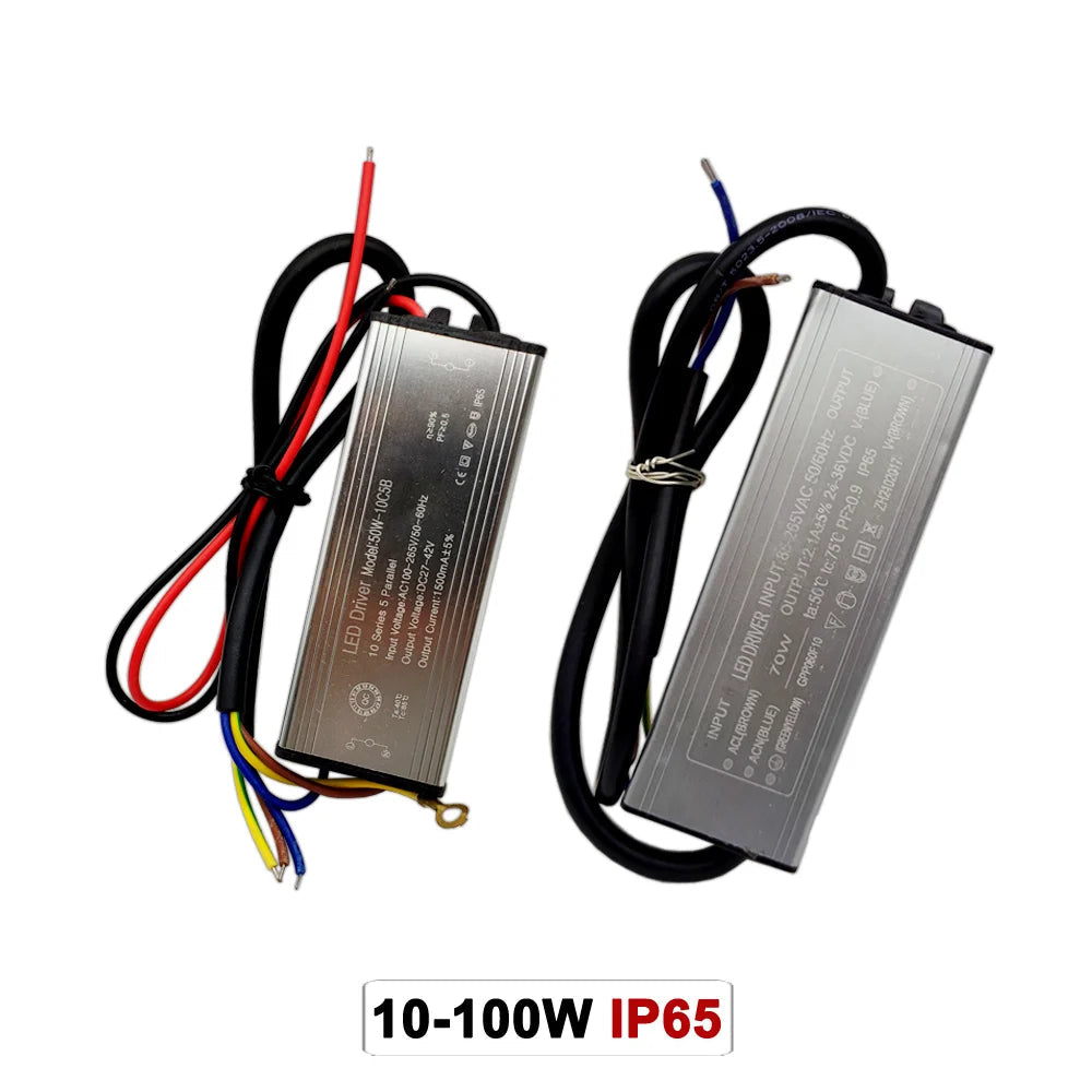 IP65 Waterproof LED Driver 10W 20W 30W 50W 60W 70W 80W 100W AC 85-265V DC 6-175V Floodlight