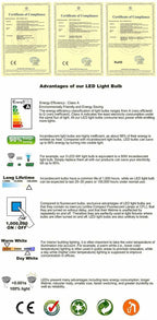 Adjustable Beam COB LED Recessed Ceiling Light