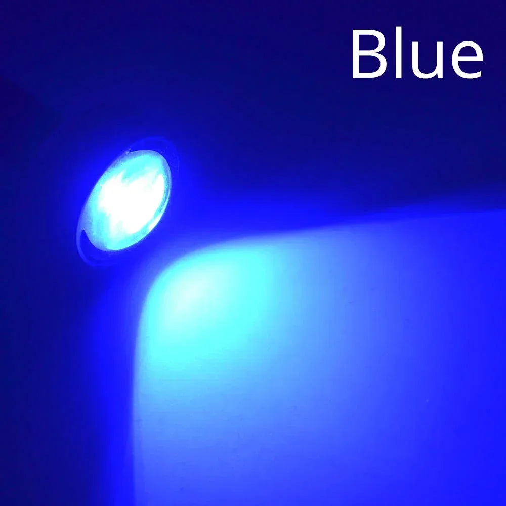 2X White Red Blue 23mm Eagle Eye Daytime Running DRL Car Moto Backup Led Parking Turn Signal lamp Brake Bulb Day Light Fog Lamp