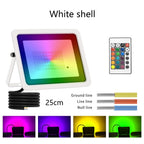 RGB IP68 LED Flood Light 20W 30W 50W 100W 24-Key Remote Memory AC 110-220V Aluminum