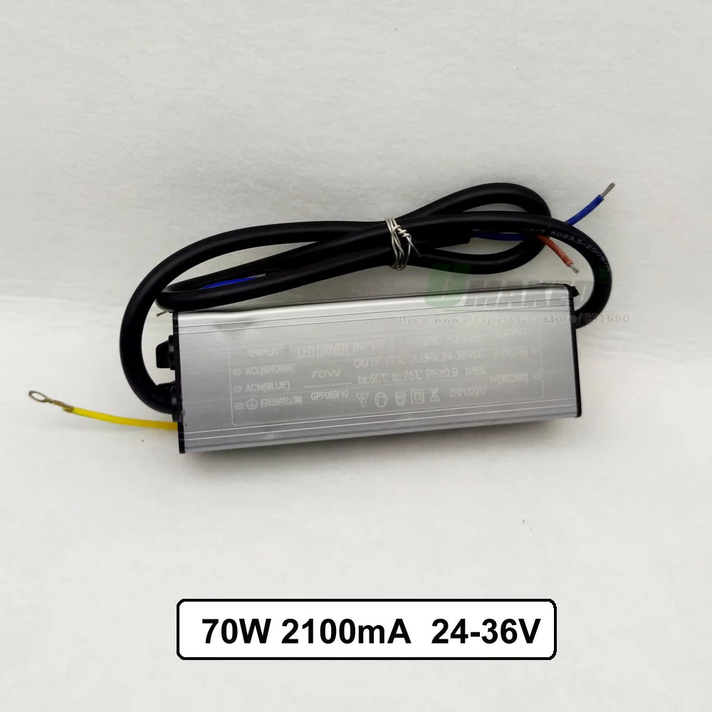 IP65 Waterproof LED Driver 10W 20W 30W 50W 60W 70W 80W 100W AC 85-265V DC 6-175V Floodlight
