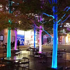 Fiber Optic Mesh LED Light Kit 6M 10M RGB IP65 RF Remote 12W AC 100-240V Tree Décor