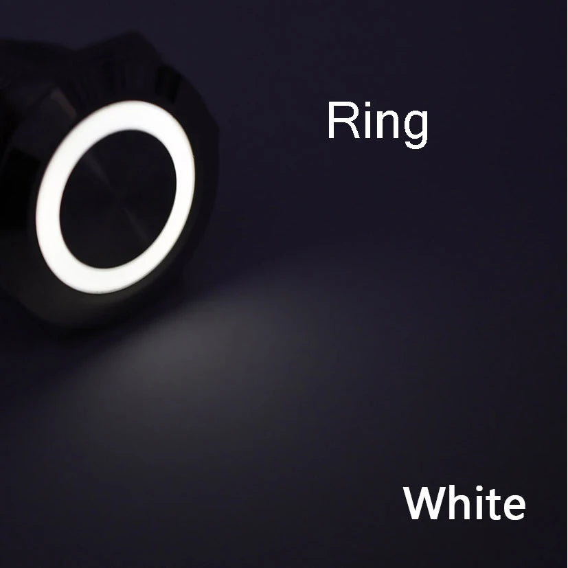 Metal LED Push Button Switch 12 16 19 22mm IP65 Self-Reset Self-Lock 5A 250V CE RoHS CCC