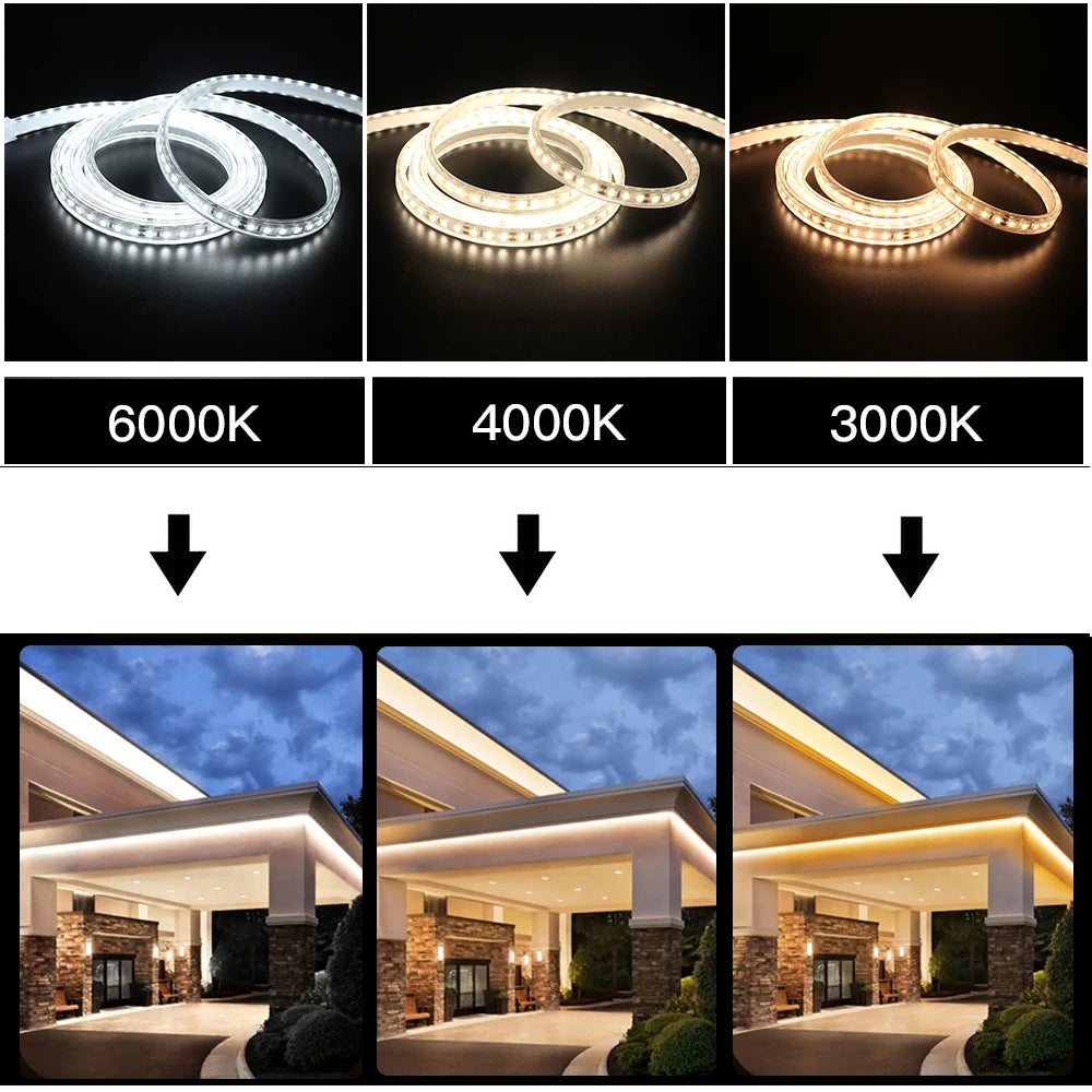 IP67 LED Strip Light 120 LEDs/m SMD2835 9-13W/m CRI 80+ DC 12V 24V 3-Color Waterproof
