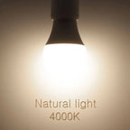 6-Pack E26 E12 LED Globe Bulb 3W-20W SMD2835 270° AC 110V Warm Natural Cool White