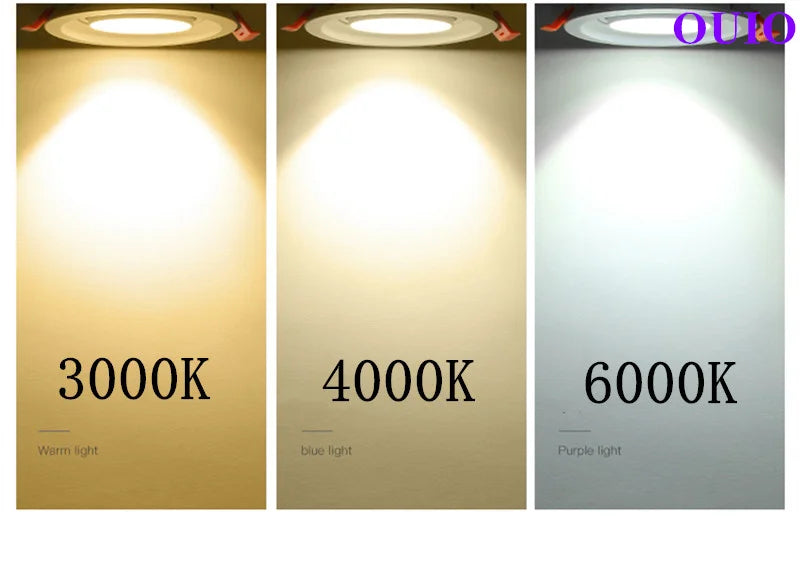 Adjustable Beam COB LED Recessed Downlight Spotlight