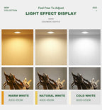 Modern IP65 Waterproof LED Ceiling Spotlight Fixture