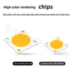 Adjustable Beam COB LED Recessed Ceiling Light
