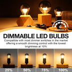 G45 Silver Globe LED Filament Bulb 4W 320lm CRI 90+ 2700K 360° E26 E12 AC 110-240V 6-Pack