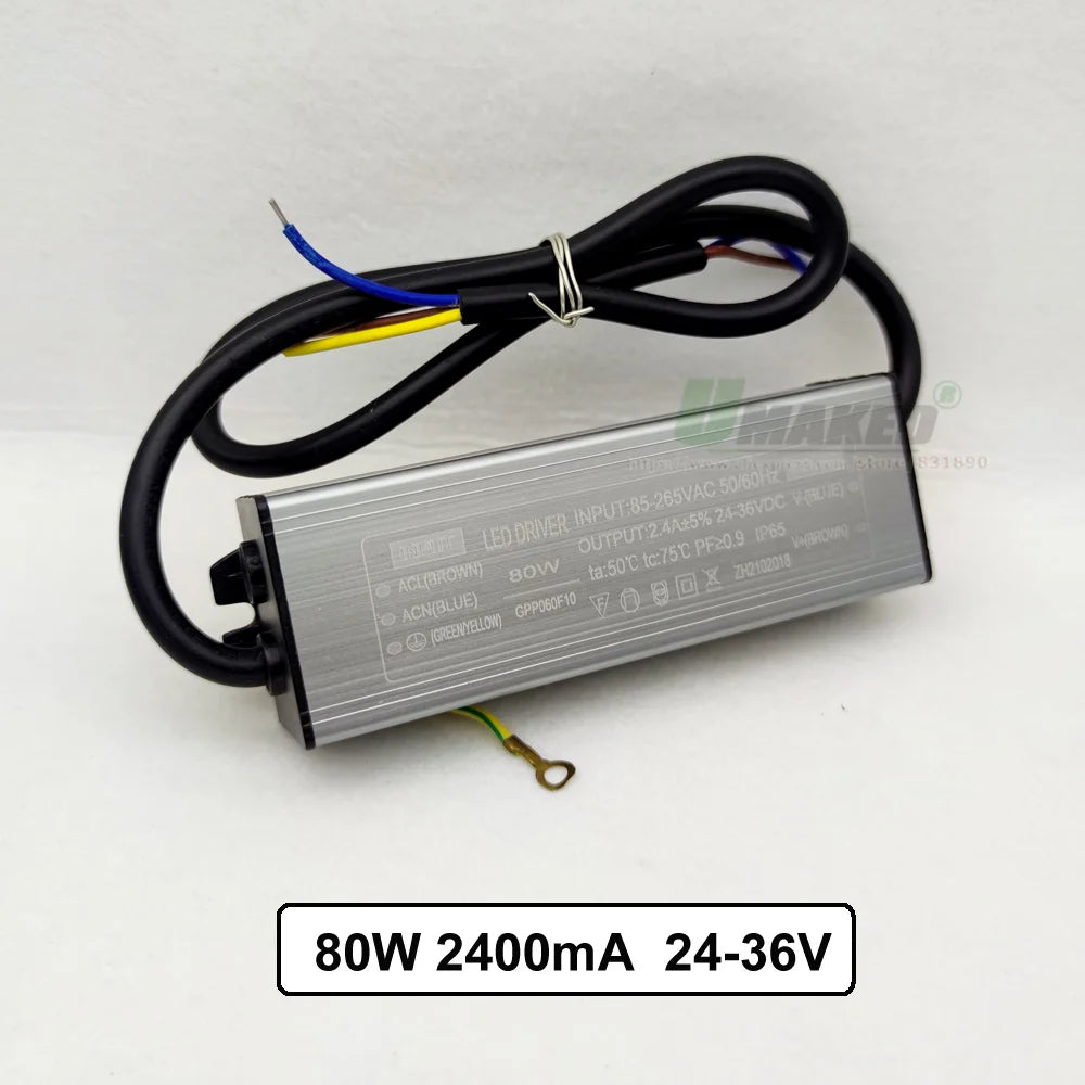 IP65 Waterproof LED Driver 10W 20W 30W 50W 60W 70W 80W 100W AC 85-265V DC 6-175V Floodlight